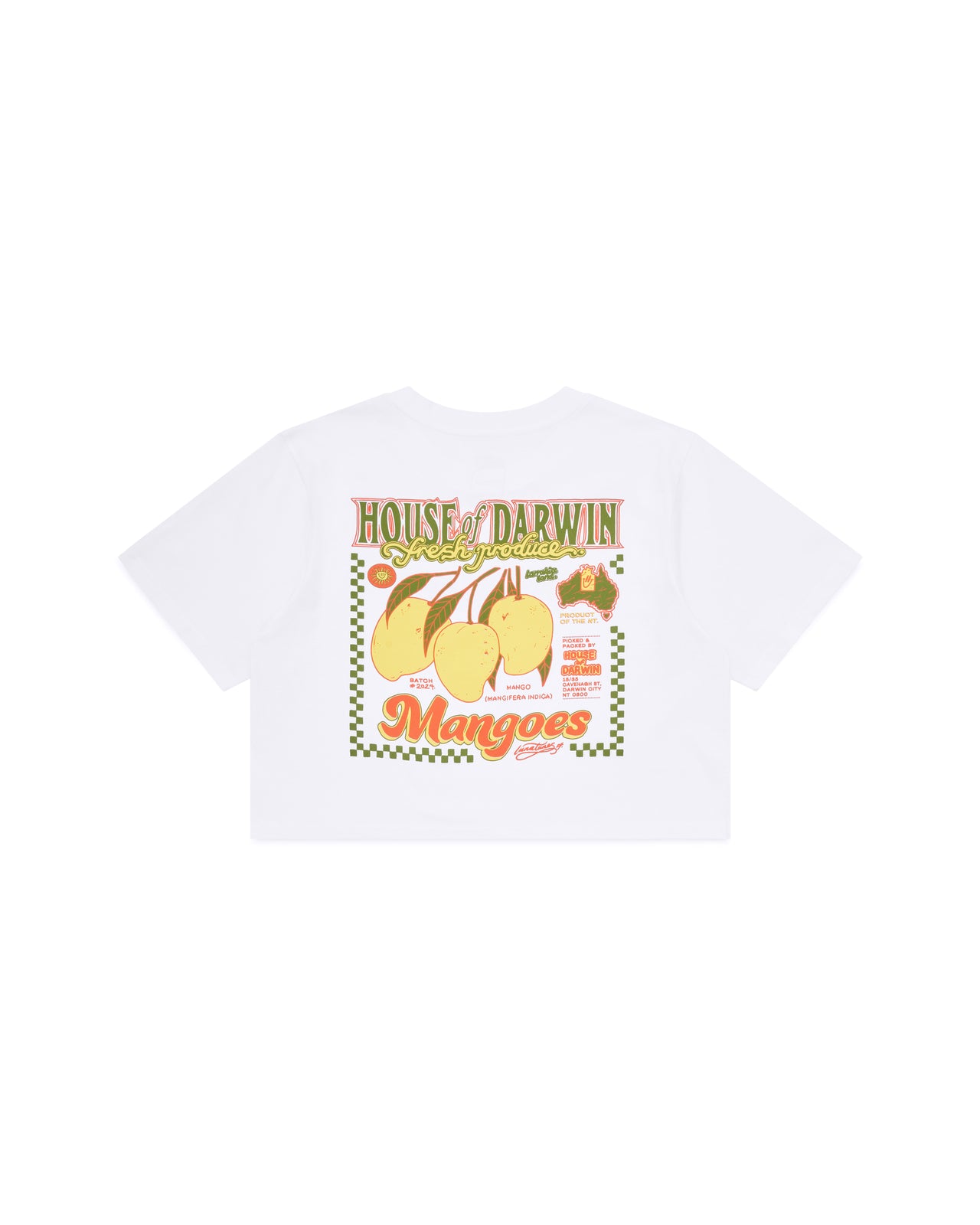 Mangoes Crop