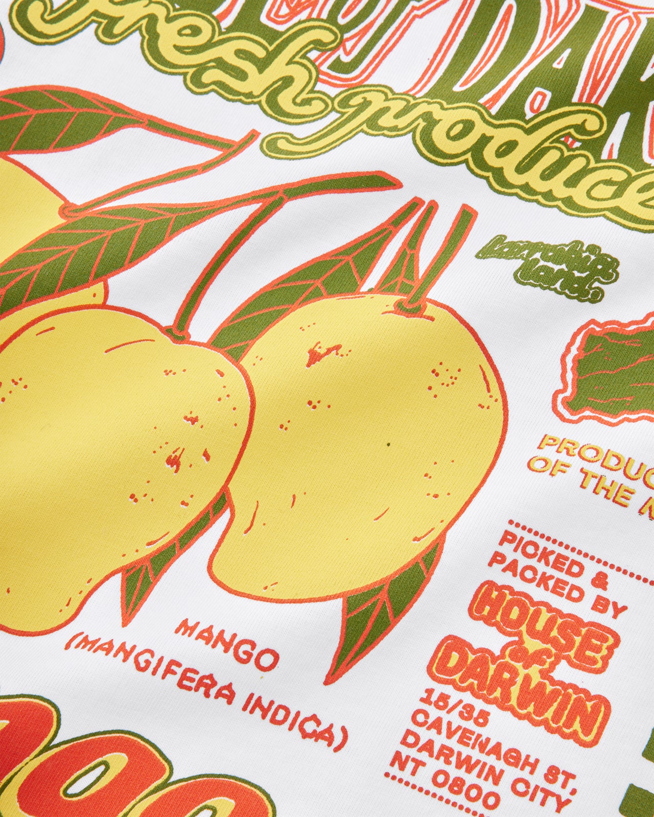Mangoes Crop