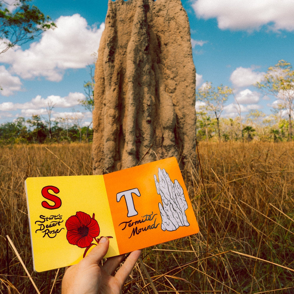 ABC IN THE NT