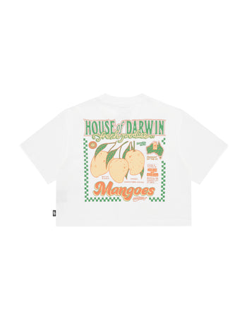 Mangoes Crop