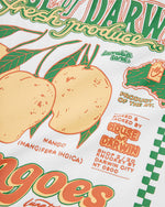 Mangoes Crop