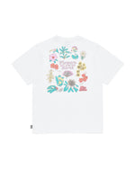 Flowers of the North