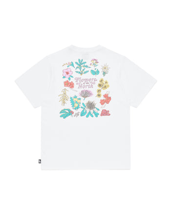 Flowers of the North