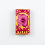 Desert Star Soap